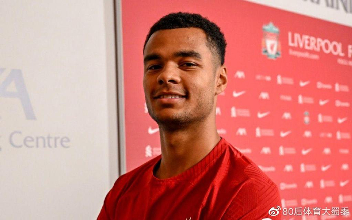 例非常高 例非常高