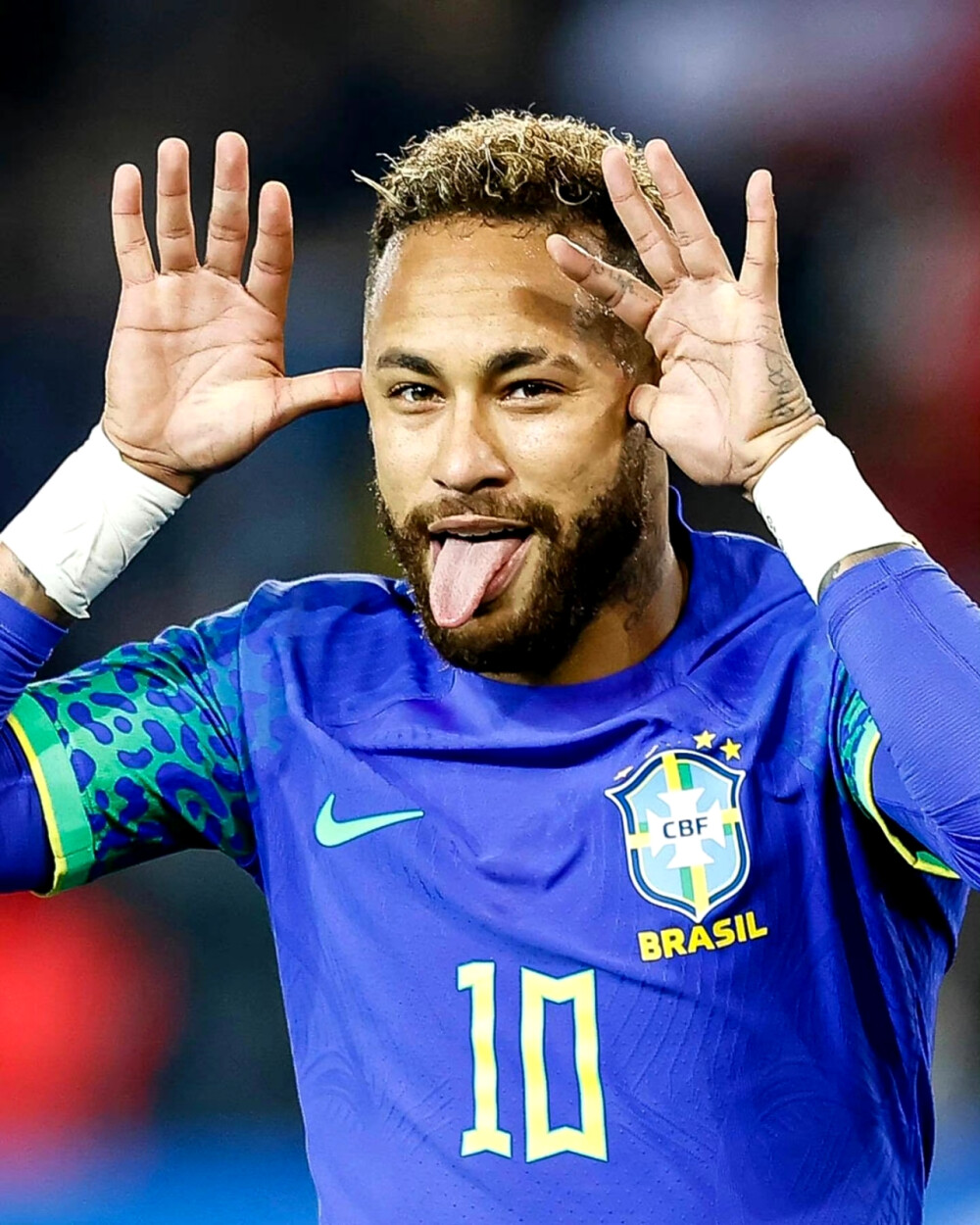 球队管理层 球队管理层