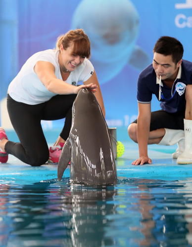 快船计划引 快船计划引